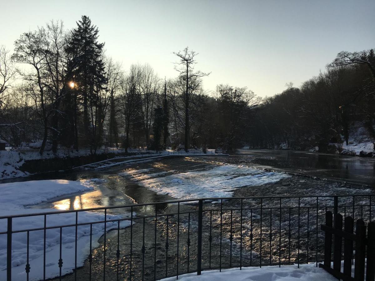 Auf Der Zschopau-Inselアパートメント エクステリア 写真